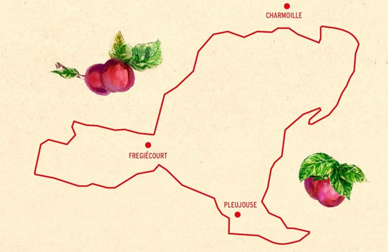 Illustration de l'événement Balade gourmande de la fête de la Damassine AOP