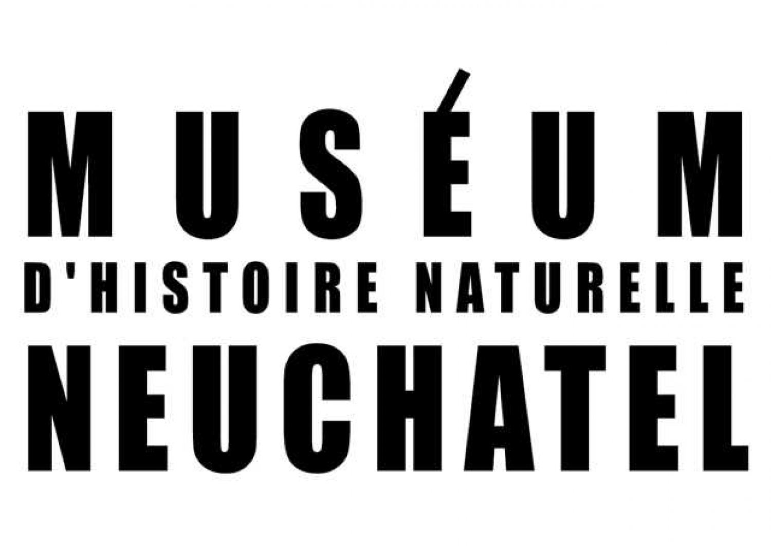 Illustration de l'événement Atelier Grands Singes