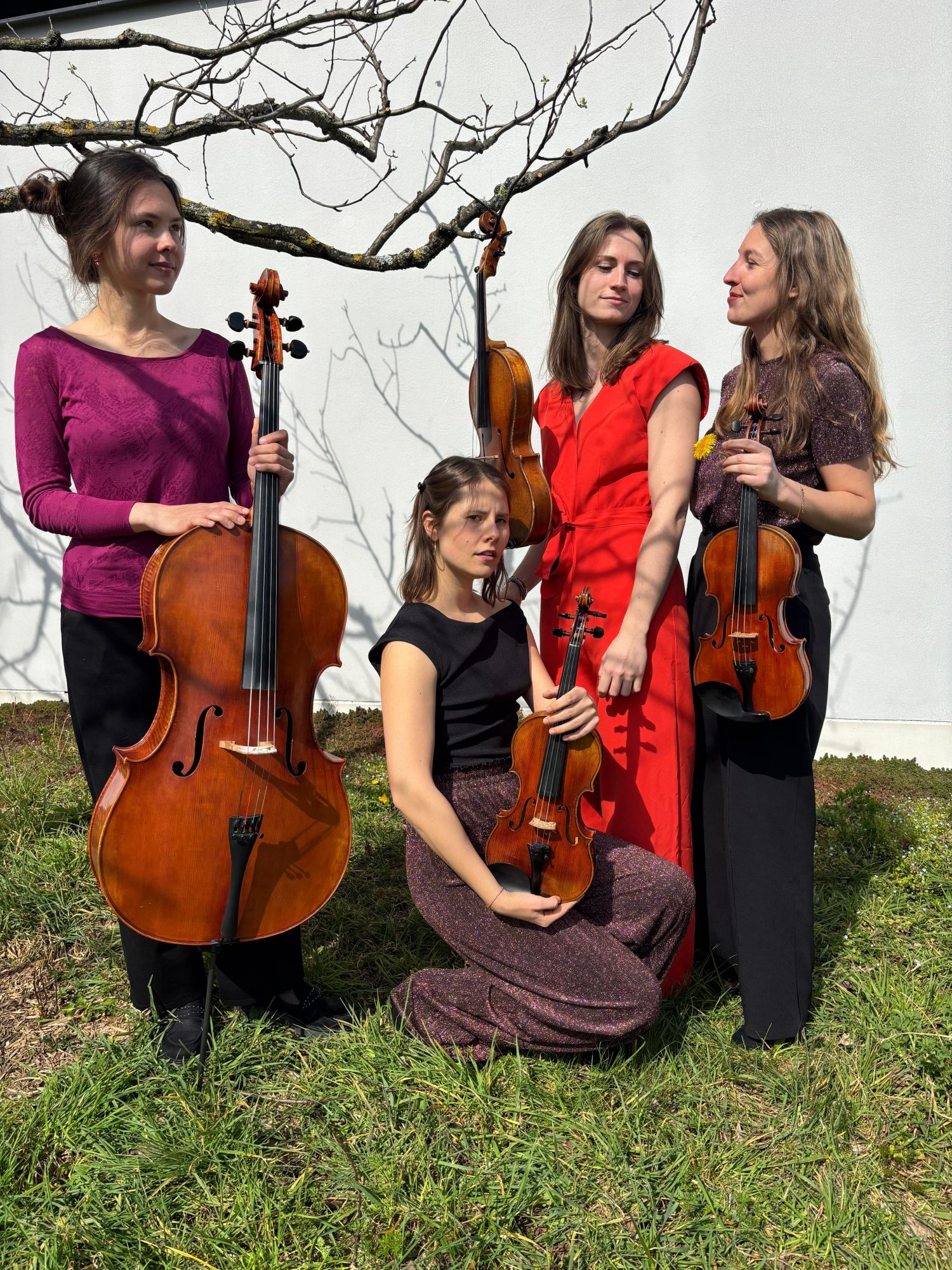 Illustration de l'événement QUARTETTO AMOROSO