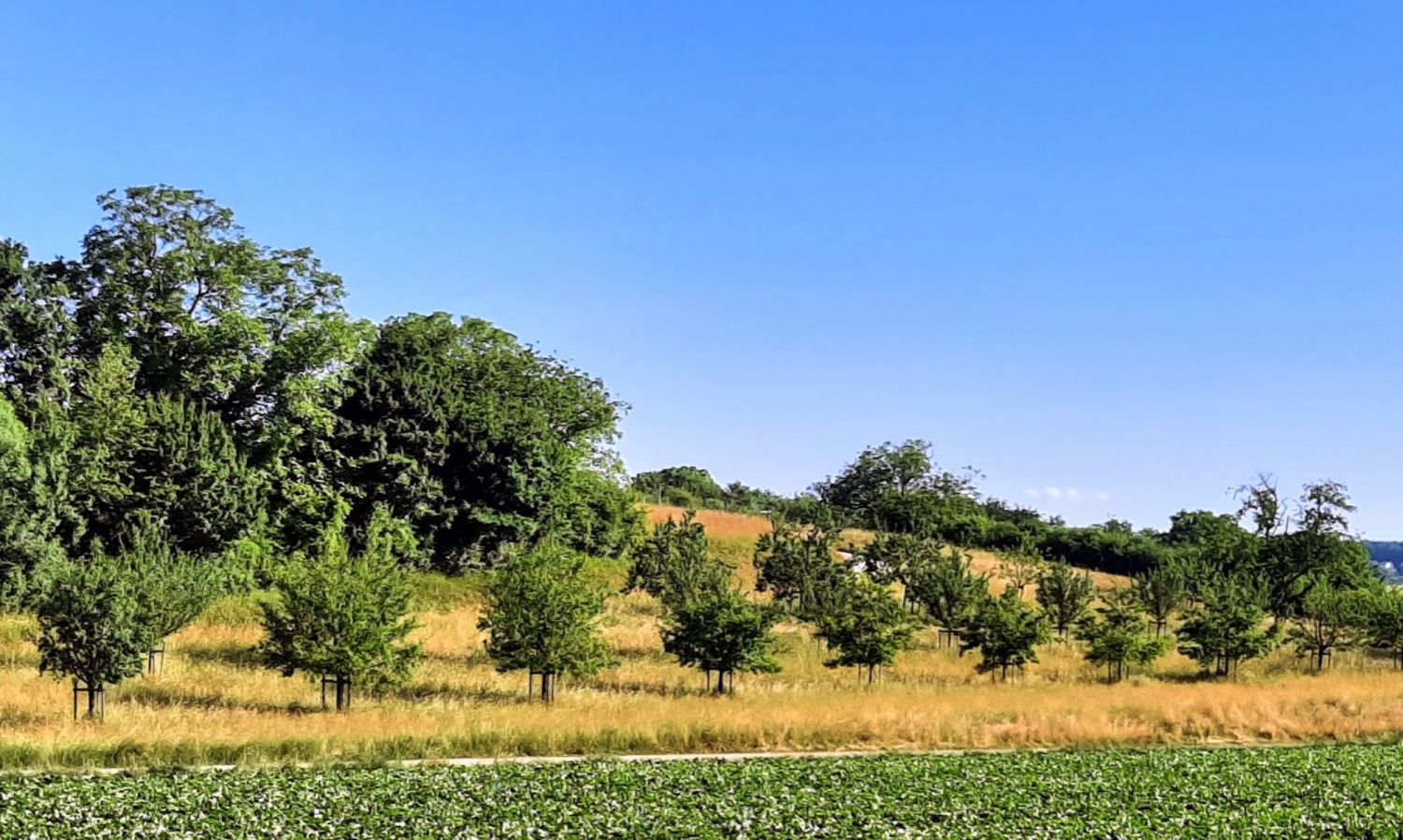 Illustration de l'événement Fête de la Nature : La nature et les paysages de Boncourt