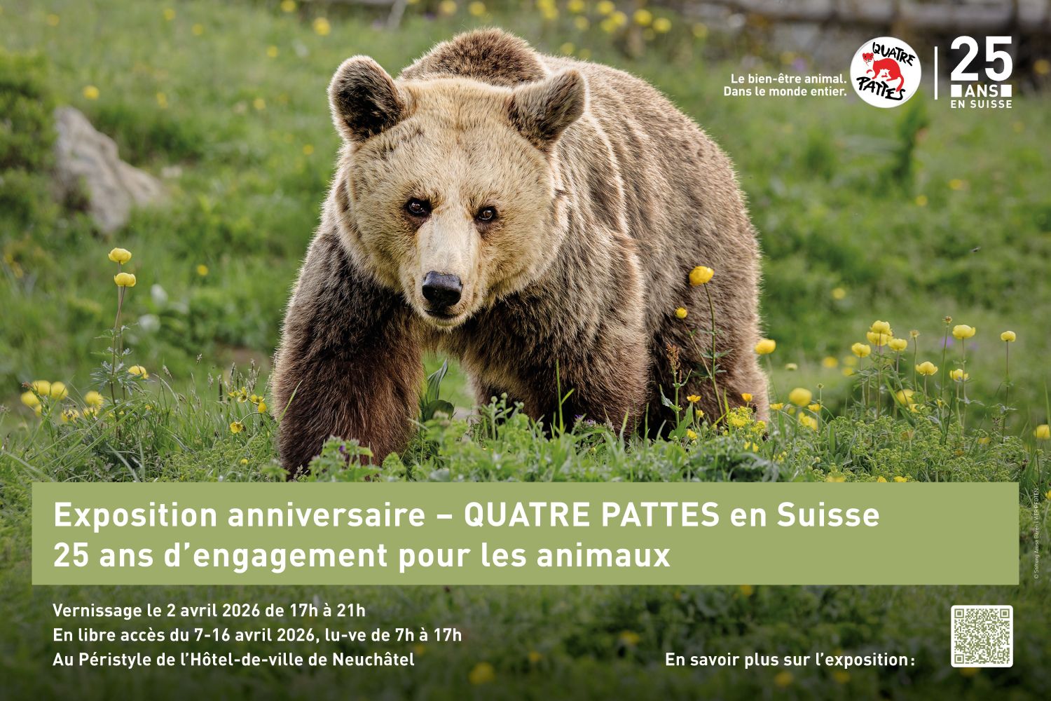 Illustration de l'événement QUATRE PATTES en Suisse depuis 25 ans