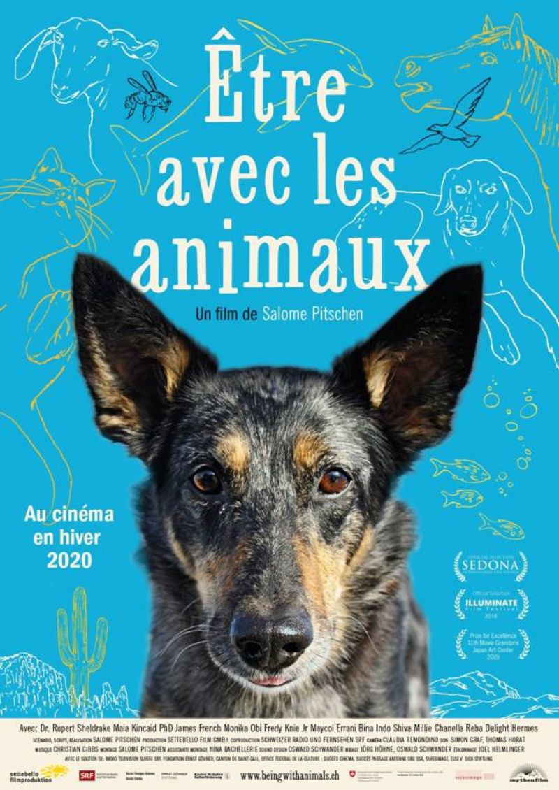 Etre Avec Les Animaux Samedi 8 Février 1800 Cinéma